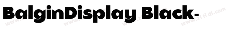BalginDisplay Black字体转换